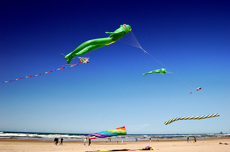 Kites Oregon Coast